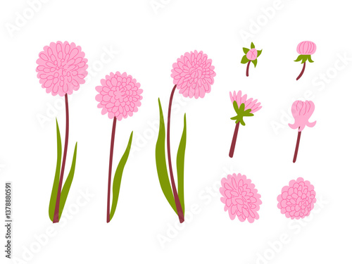 Pink flower branches, buds and leaves on isolated background. Dahlia flowers vector flat illustration. Blossom botanical clipart