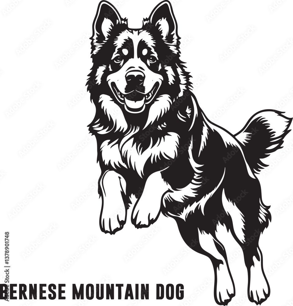 Black Vector Graphic of a Bernese Mountain Dog Black Vector Graphic of a Bernese Mountain Dog