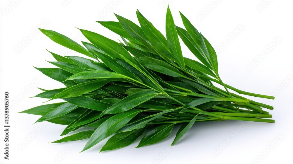 Fototapeta premium Vibrant bunch of fresh green pandan leaves captured in high-quality realistic photography for nature enthusiasts