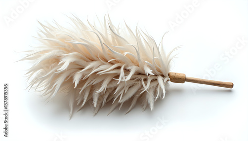 A fluffy feather duster with a wooden handle