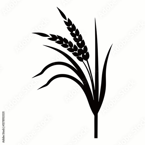 Autumn wheat field with ripe grains and green plants in a sunny landscape, showcasing a variety of crops like barley, oats, and corn, in a simple and vibrant vector illustration