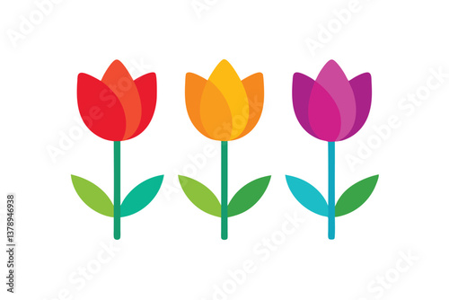 vector illustration of tulips