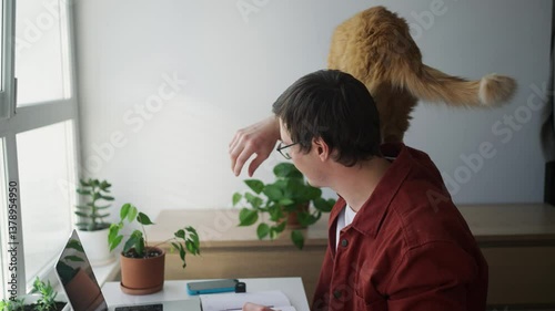 Playful ginger cat jumps over its owner's head repeatedly while he is working from home on his laptop, creating a humorous and distracting work environment