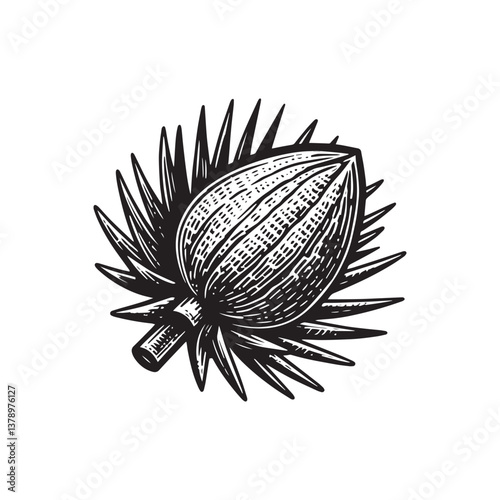 Simple Joshua Tree Seed Vector Icon – Vintage Logo & Retro Illustration