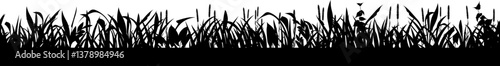 Horizontal seamless vector illustration of swamp vegetation creating a natural border, ideal for nature themed designs or environmental projects