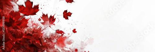 Victoria Day in Canada, flying red maple leaves, abstract autumn white background, horizontal banner, copy space, free space for text