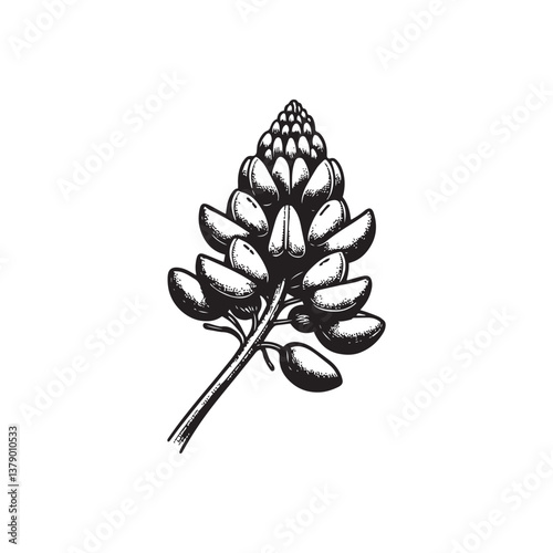 Simple Bluebonnet Flower Front View Vector Icon – Vintage Logo & Retro Illustration