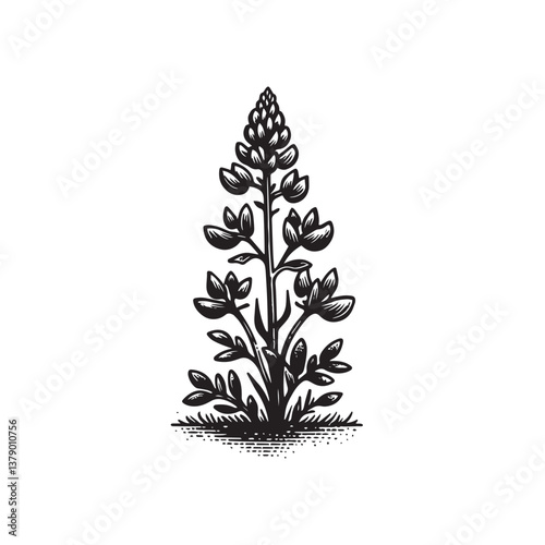 Simple Bluebonnet Flower Front View Vector Icon – Vintage Logo & Retro Illustration