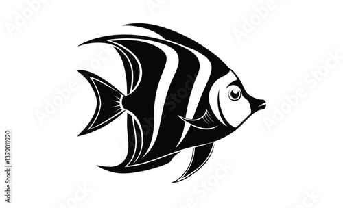 Angelfish fish vector silhouette, angelfish fish on white background 