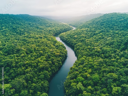 Lush green river winding through dense forest in an aerial view captured during early morning hours