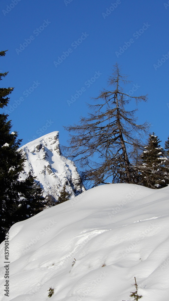 Fototapeta premium Blick zur Bösen Nase 2229m
