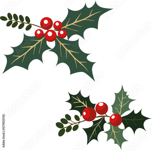 Holly leaves and fruits (Ilex aquifolium). Christmas holly berries icon. Vector illustration.