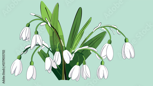 Delicate snowdrops against light green background: symbol of spring and purity