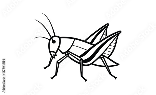 Cricket isolated on white silhouette