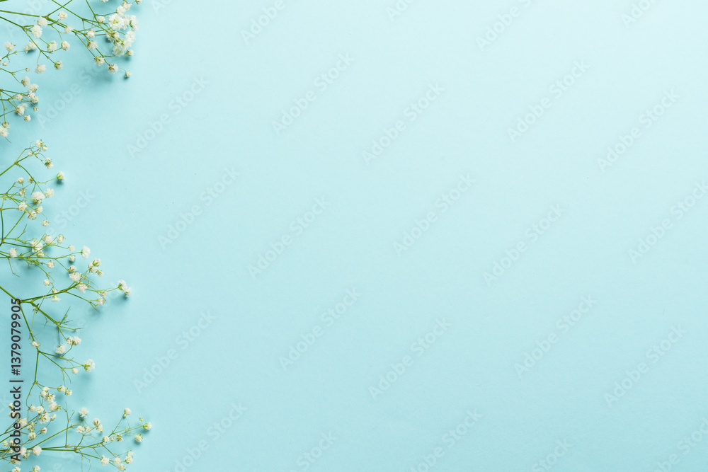 Spring background with white flowers on blue.