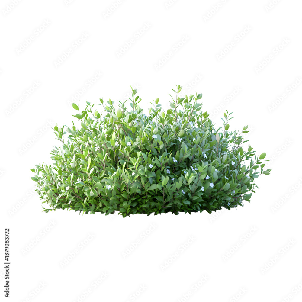A Fluffy 3D Cartoon Bush with Soft Rounded Edges Isolated on Transparent Background