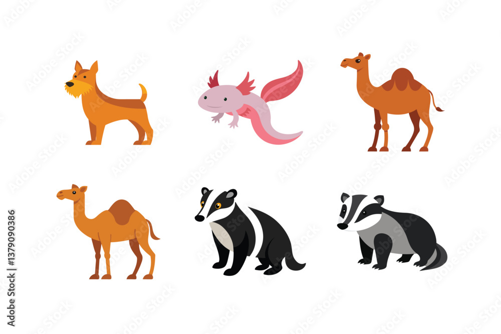 vector set 6 different of animals vector set 6 different of animals