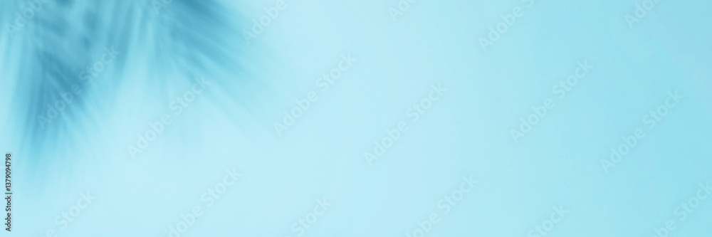 Blue background with palm shadows.
