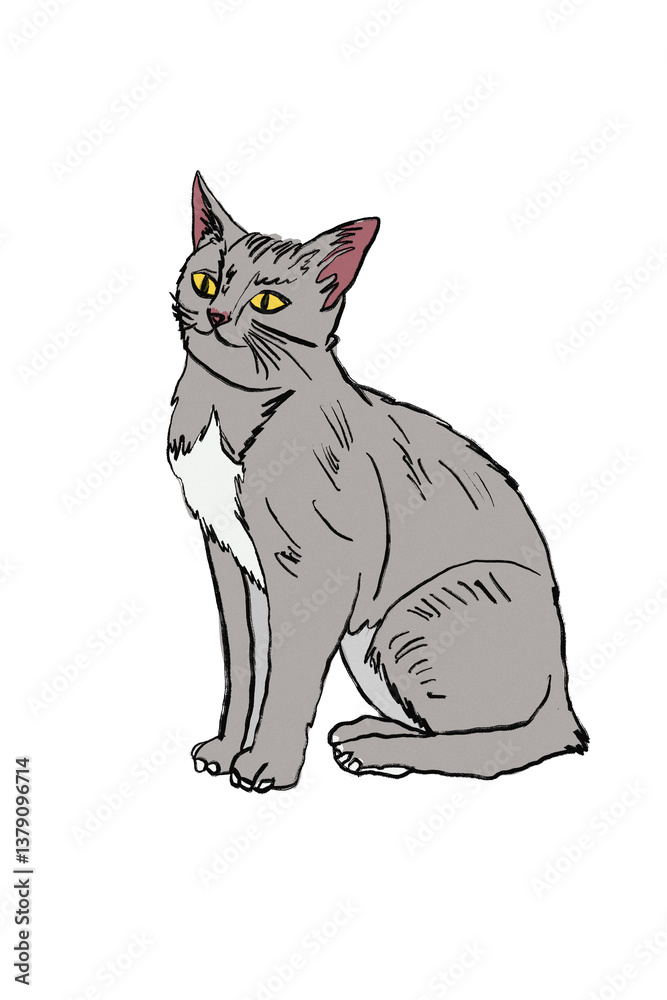 Fototapeta premium Cat Illustration hand drawn art png digital art 