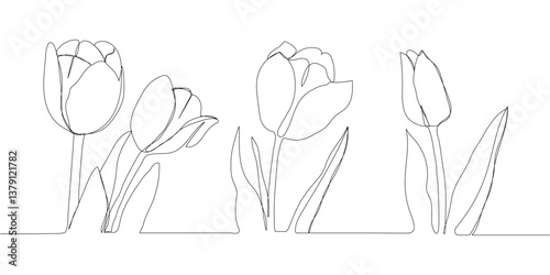 Tulip flower continuous line drawing. One line art. Vector illustration