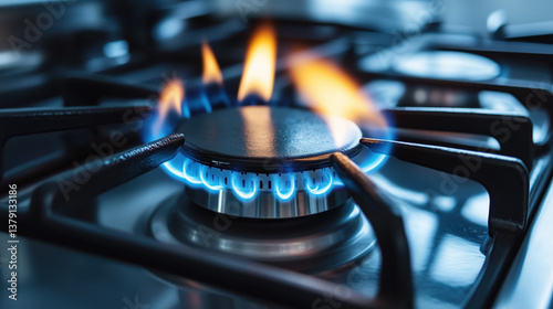 Obraz na płótnie Gas burner flame