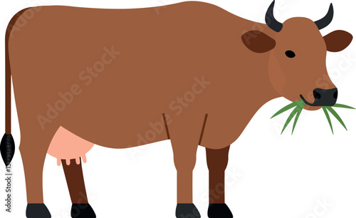 Brown cow standing in a grassy field with green grass in its mouth, flat vector illustration