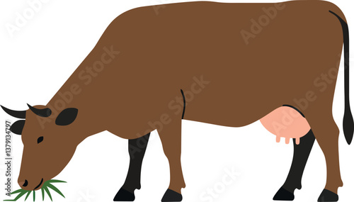 Brown cow grazing on green grass in a flat design vector illustration