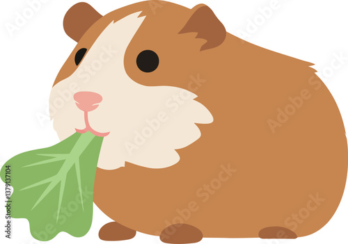 Cute guinea pig nibbling on green lettuce in a flat vector illustration