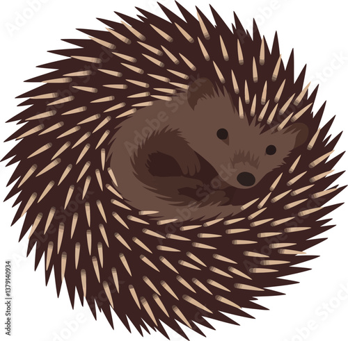 Cute hedgehog curled up in a cozy pose, minimal design, warm tones, vector illustration