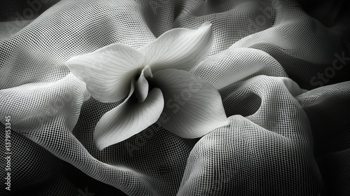   A white flower resting atop an organe-netted black and white fabric bedcover