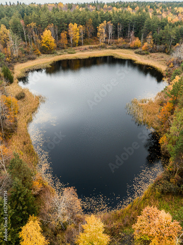 Aerial drone view of serene lake surrounded by autumn foliage