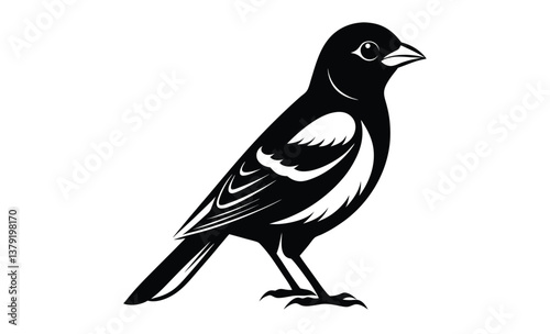 baltimore oriole bird on white silhouette