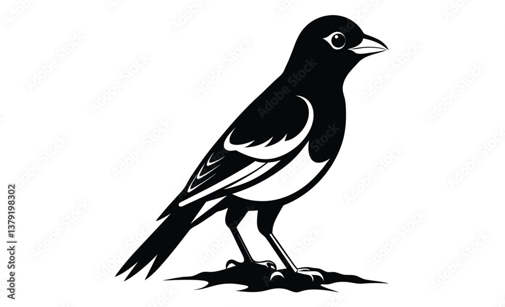 Obraz premium baltimore oriole bird on white silhouette
