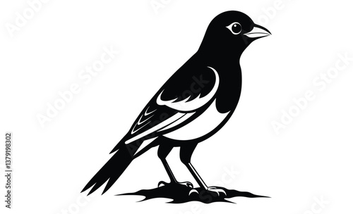 baltimore oriole bird on white silhouette