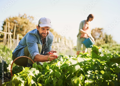 Gardening, happy and couple with vegetables for growth, farming and harvesting crops. Agriculture, countryside and man and woman with plants for sustainable, organic and natural produce or herbs