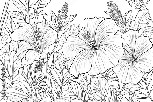 Color Hibiscus Flowers Coloring Page