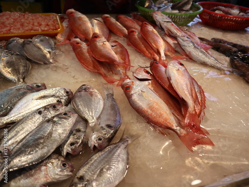  all kinds of fresh fish and seafood on the fish market design for food concept