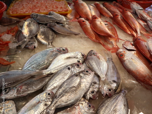  all kinds of fresh fish and seafood on the fish market design for food concept
