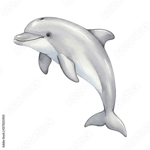 dolphin jumping isolated on white