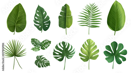 Vibrant Tropical Leaves Collection on Transparent Background Ideal for Creative Design Projects