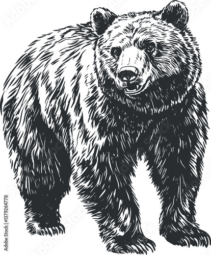 Detailed black and white illustration of a grizzly bear in a natural setting.