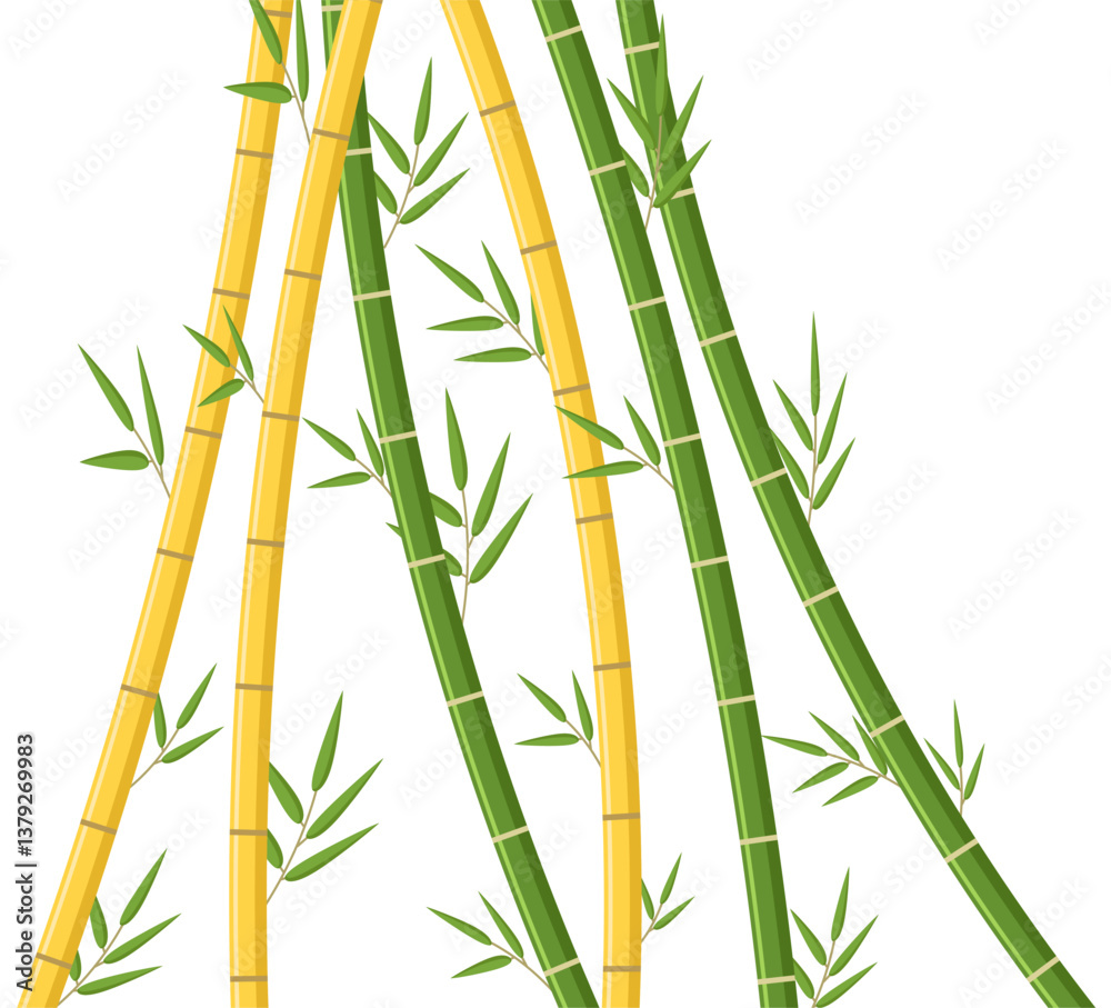 Fototapeta premium Green and yellow bamboo zen nature leaves illustration clipart