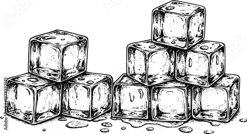 ice cube engraving black and white outline
