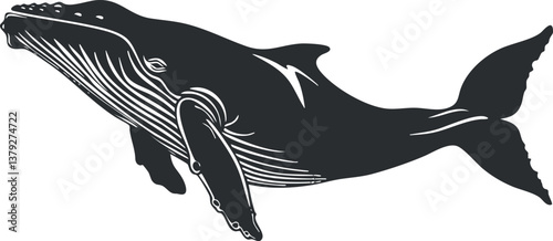 Silhouette illustration of a whale in black and white, showcasing aquatic wildlife and marine life.