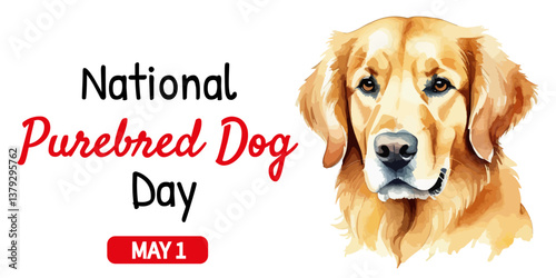 National Purebred Dog Day design with hand-painted golden retriever in watercolor style with text inscription. May 1. Holiday concept. Perfect for pet lovers, events, ads and social media