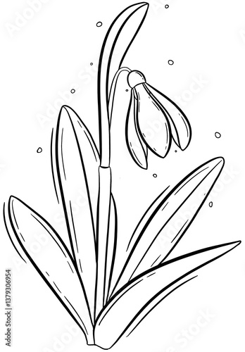 Elegant Line Art Illustration of a Single Snowdrop Flower with Graceful Drooping Bloom and Slender Leaves, Perfect for Botanical Coloring Pages, Spring-Themed Designs, and Minimalist Art