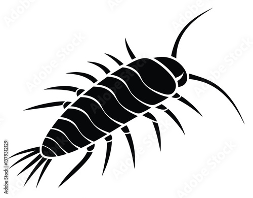 lepismatidae vector illustration of a black scorpion