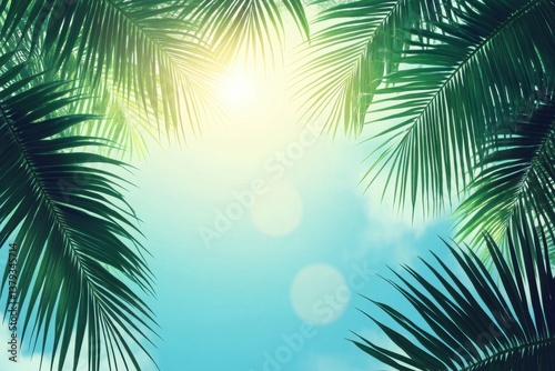 Tropical Palm Leaves Frame Sunlight