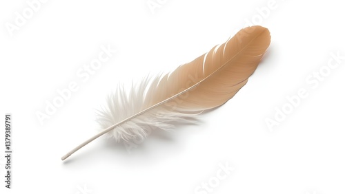 3D highly detailed feather with realistic textures, perfect for nature, writing, and artistic themes.

