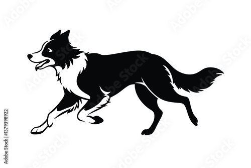 Running Border Collie dog vector silhouette